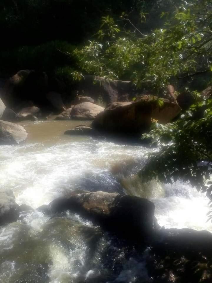 Chale Cabana Ecologico Bueno Brandão Exteriör bild